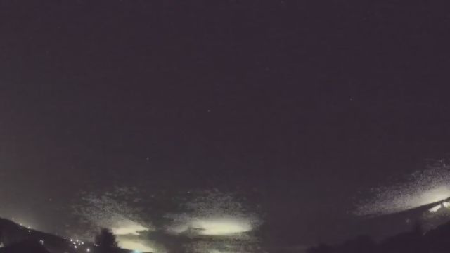 AMS90 meteor