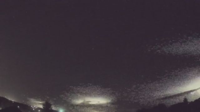 AMS90 meteor