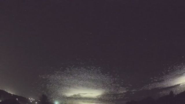 AMS90 meteor