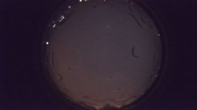 AMS90 meteor