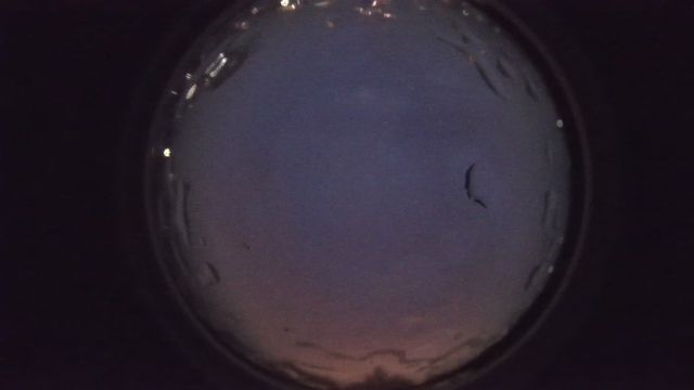 AMS90 meteor