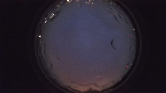 AMS90 meteor