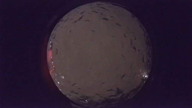 AMS91 meteor