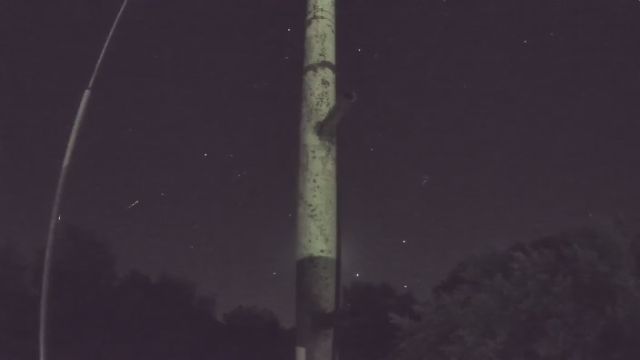 AMS96 meteor