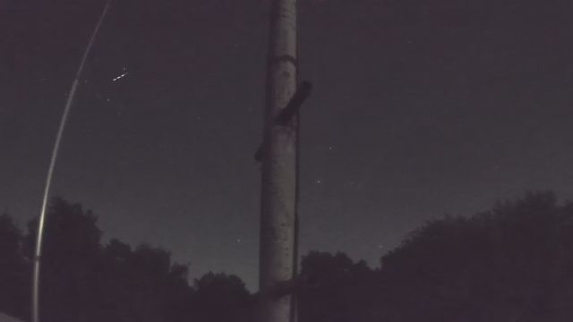 AMS96 meteor