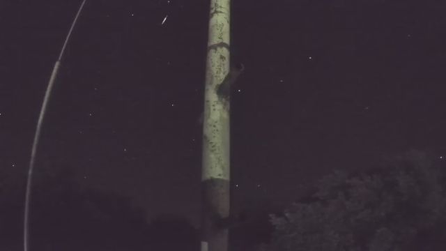 AMS96 meteor