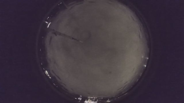 AMS96 meteor