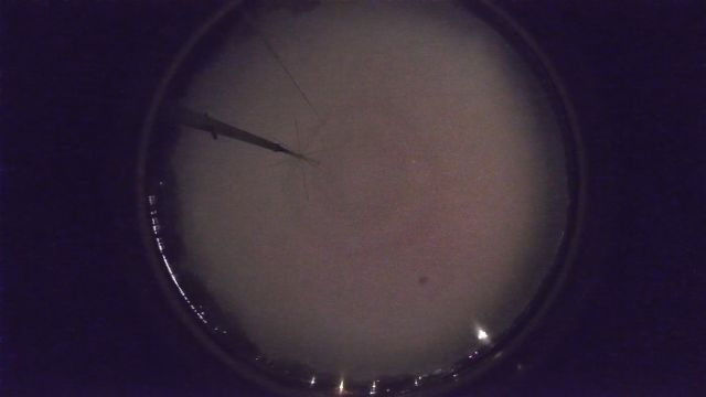AMS96 meteor