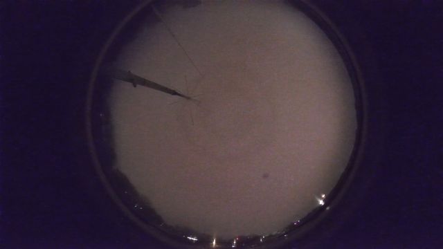 AMS96 meteor