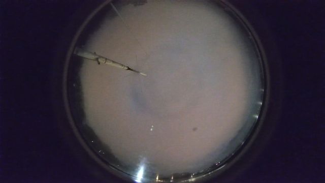 AMS96 meteor