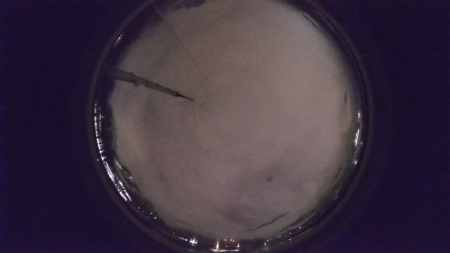 AMS96 meteor