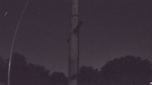 AMS96 meteor